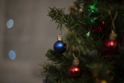 Close-up of christmas decorations hanging on tree