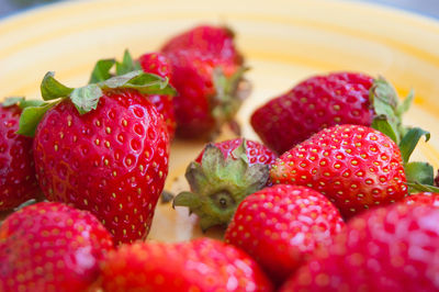Close-up of strawberries in plate