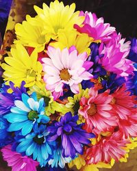 High angle view of multi colored flowers