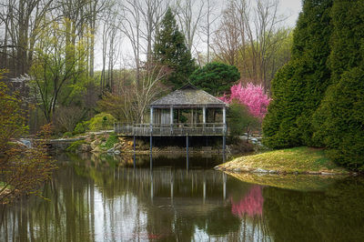 On a tranquil lake