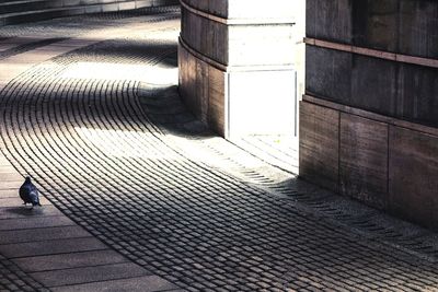 Walkway leading to building