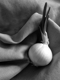 Close-up of onions on jute