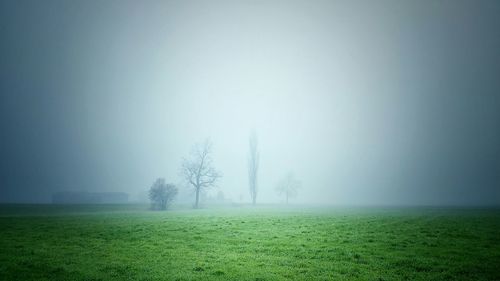 Scenic view of grassy field in foggy weather