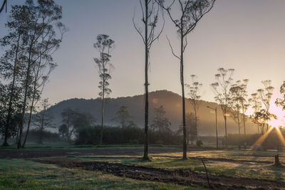 Scenic view of field against sky at sunset