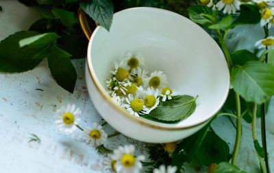 Close-up of flowers in plate on table