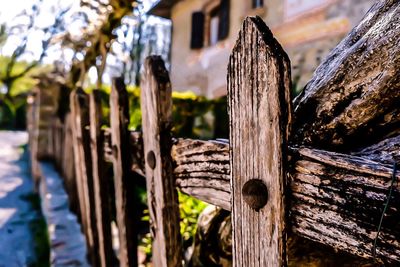 Close-up of wood on wooden fence