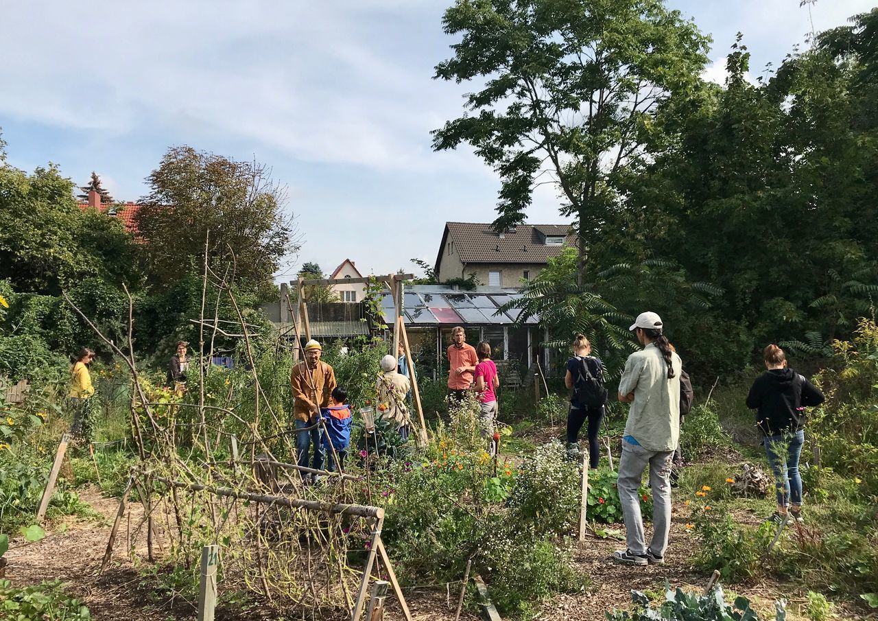 PEOPLE ON FIELD AGAINST TREES AND PLANTS