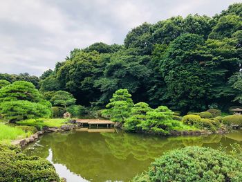 Scenic view of lake by trees against sky