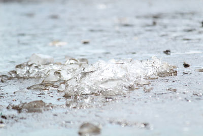 Close-up of frozen water on beach