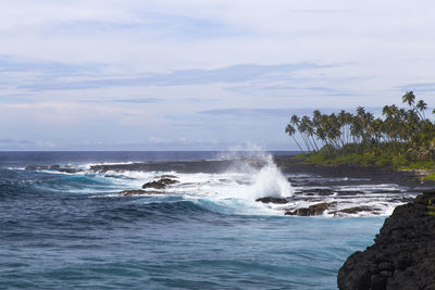 Volcanic coastal cliffs with blue waves breaking and palm trees