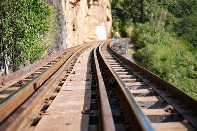 Surface level of railroad tracks along trees