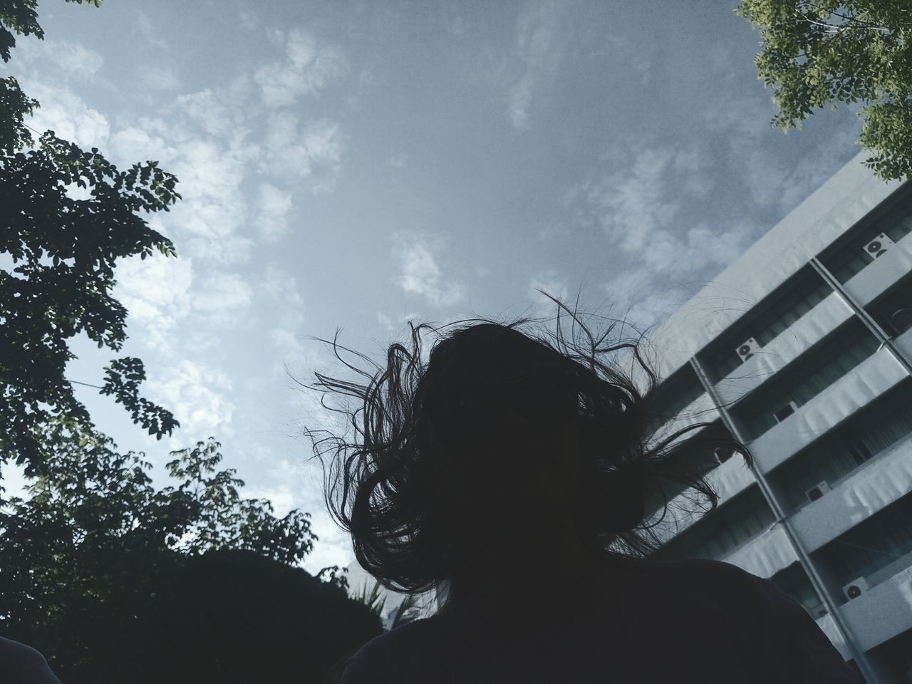 LOW ANGLE VIEW OF SILHOUETTE WOMAN AGAINST TREE