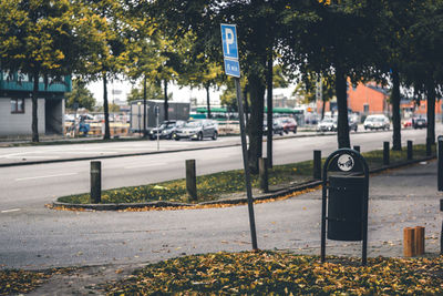Close-up of trees in city