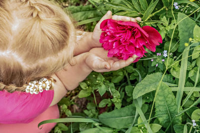 High angle view of girl with pink flower