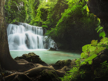 waterfall