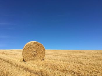 Bale of hay in field in from of blue sky