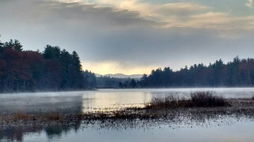 Reflection of trees in calm lake