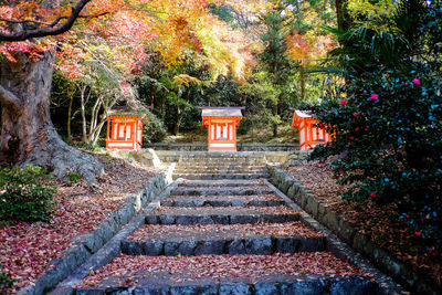 Staircase by building in park during autumn