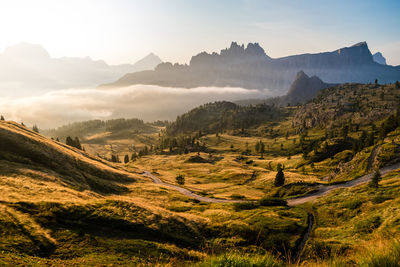 Scenic view of landscape against sky