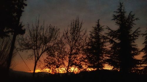 Silhouette trees against sky during sunset