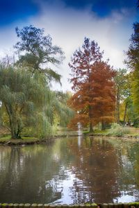 Scenic view of lake in forest against sky