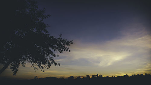 Silhouette trees against sky during sunset