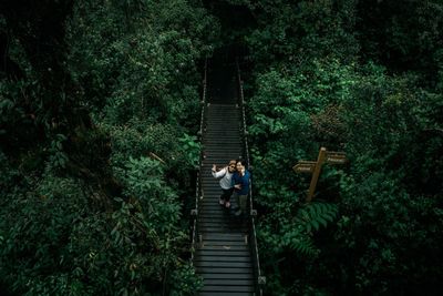 People on footbridge in forest