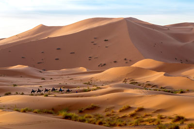 Scenic view of desert against sky