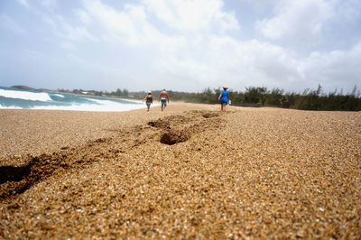 Surface level of sandy beach