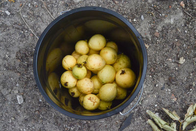 High angle view of fruits in container