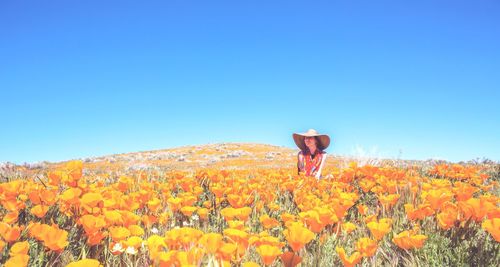Woman standing on field against clear blue sky