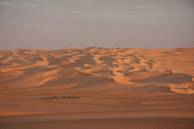 Sand dunes in a desert