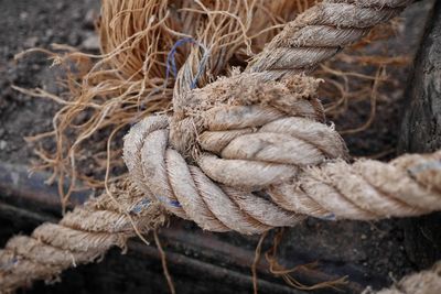 Close-up of tied rope