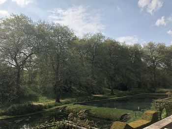 Scenic view of forest against sky