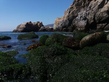 Scenic view of sea against blue sky