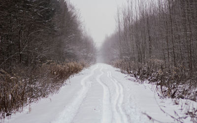 Snow covered road amidst trees during winter