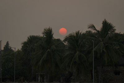 Palm trees against sky during sunset