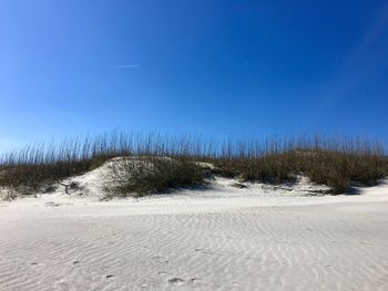 View of sandy beach against clear blue sky