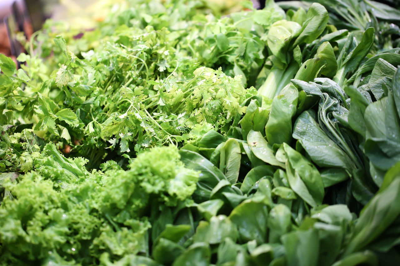 CLOSE-UP OF CHOPPED VEGETABLES