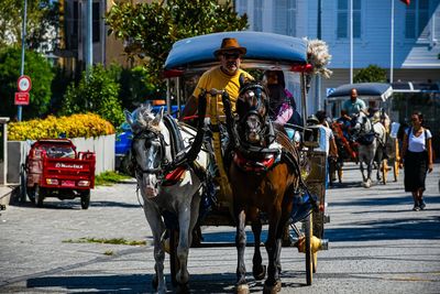 People riding bicycles on street in city