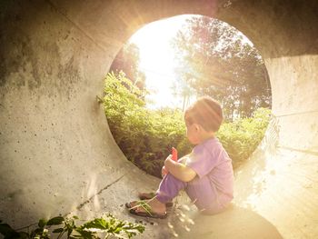 Rear view of boy sitting on plant