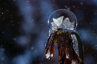 Close-up of snowflakes on christmas tree