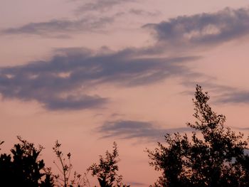 Low angle view of silhouette trees against sky at sunset