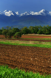 Scenic view of field against mountains