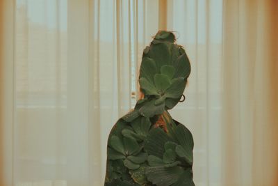 Rear view of man standing against curtain