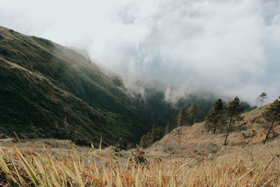 Scenic view of mountains against sky