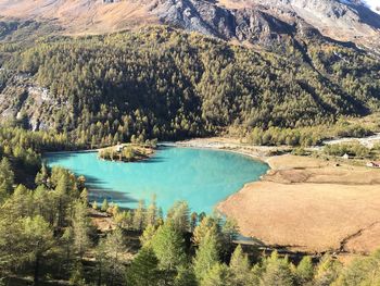 High angle view of lake amidst trees