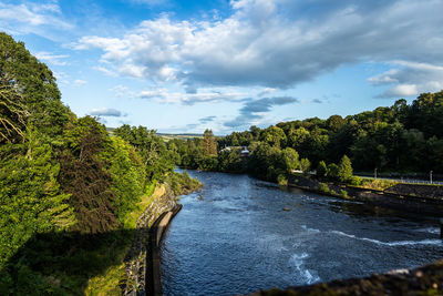 Scenic view of river amidst trees against sky