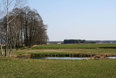 Scenic view of grassy field against sky