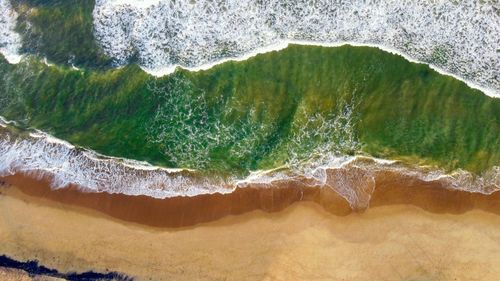 Close-up of rock by sea